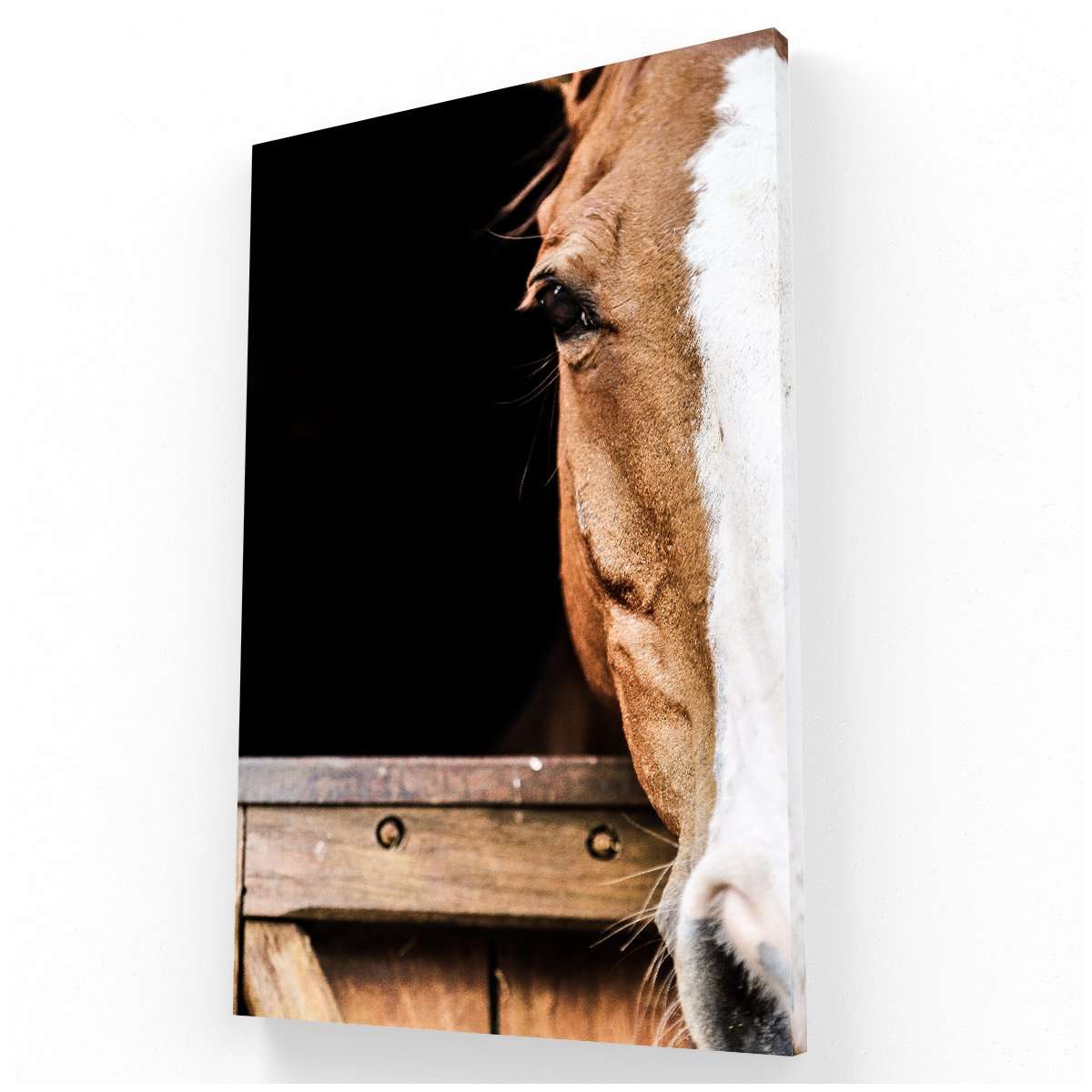 Mirada de Caballo