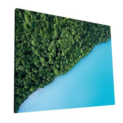 Bosque y Agua