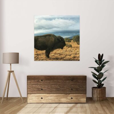 Mockup_El Bisonte