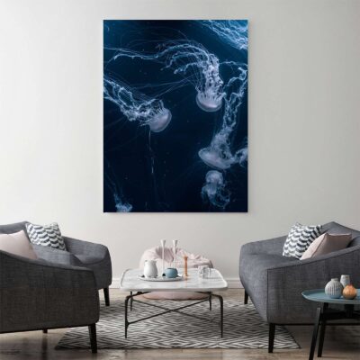 Mockup_Jellyfish Dance
