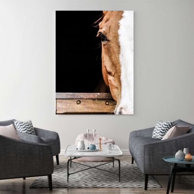 Mockup_Mirada de Caballo