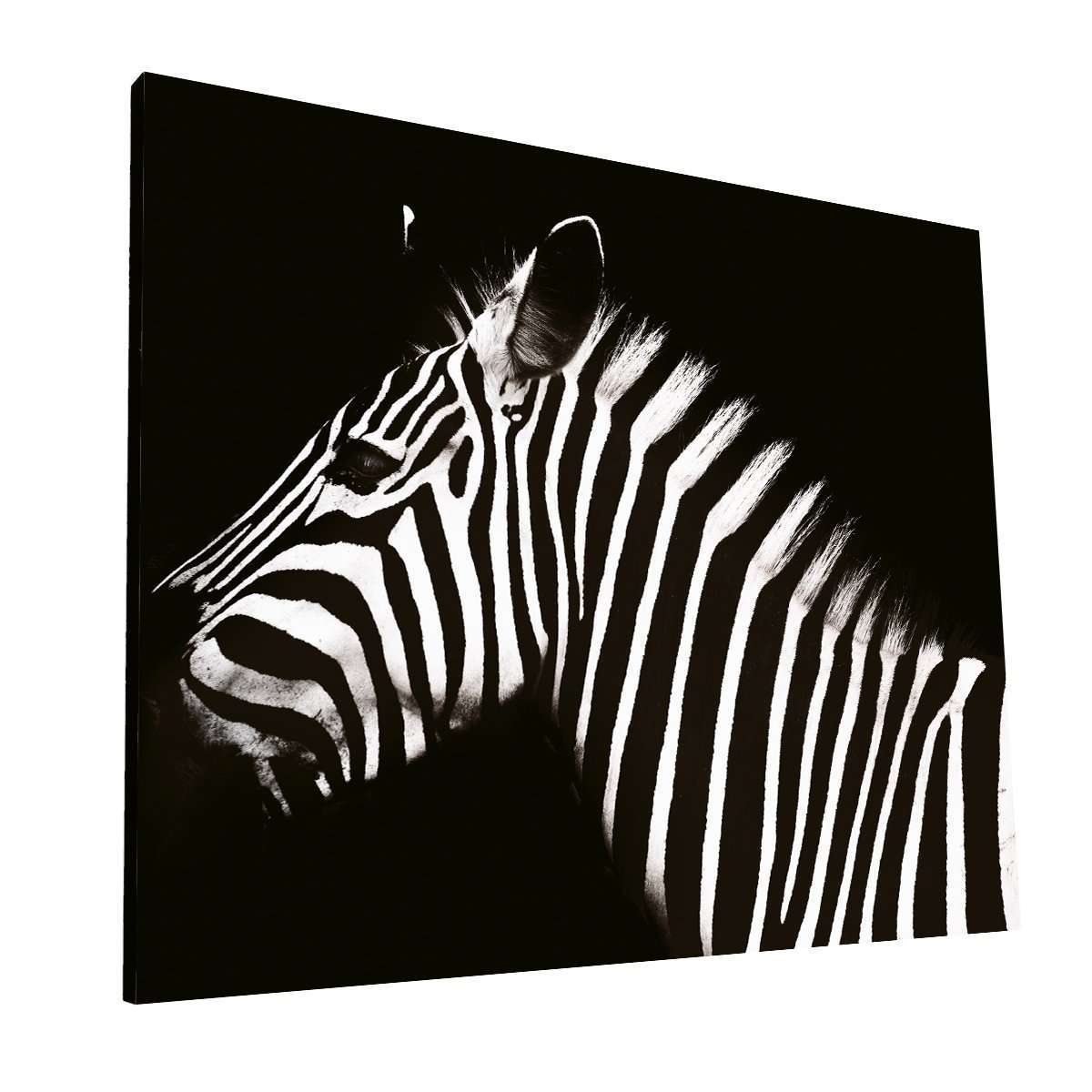 Contrastes de Zebra