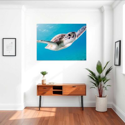 Mockup_Nado de tortuga