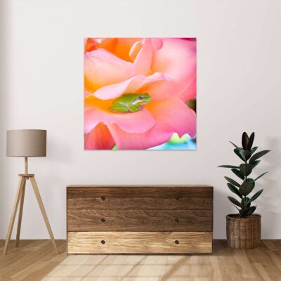 Mockup_Rana entre petalos