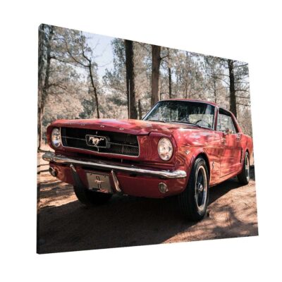 Classic Mustang
