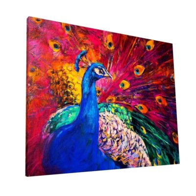 Pavo Real Multicolor