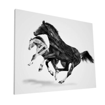 Caballos en el aire