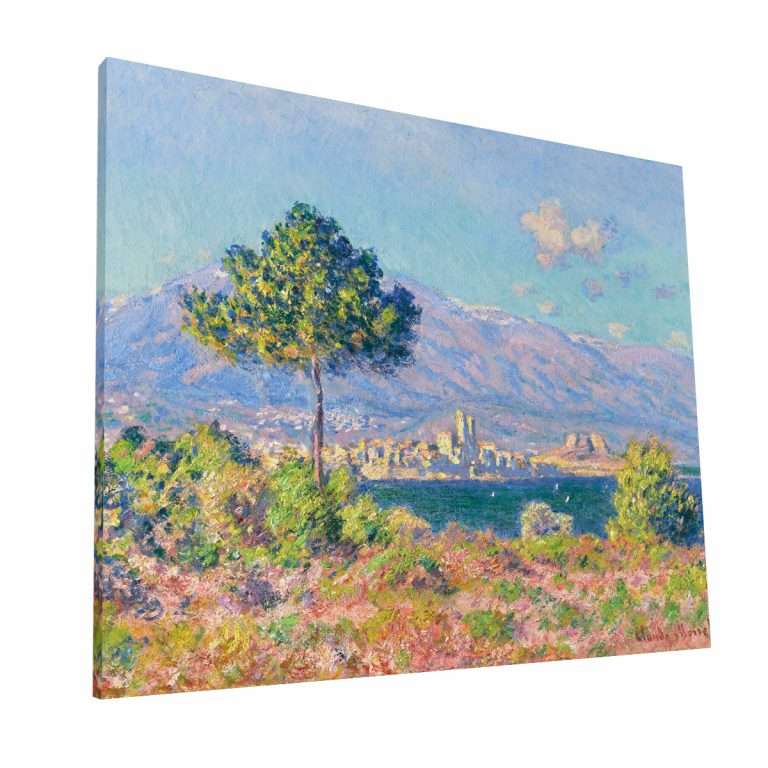 Monet IV