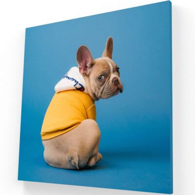 Puppy II