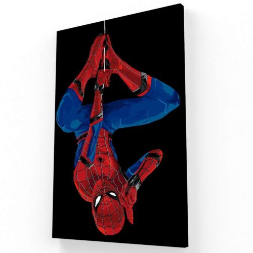 Spider Man V