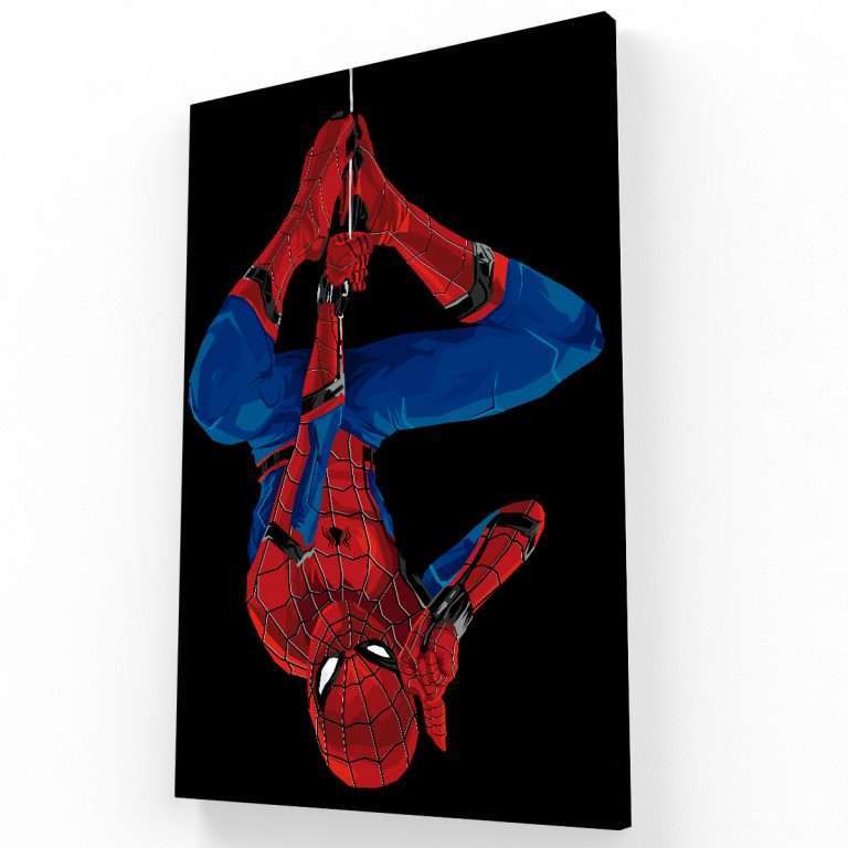 Spider Man V