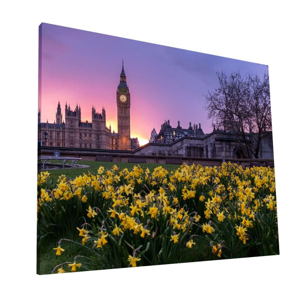 Flores del Big Ben