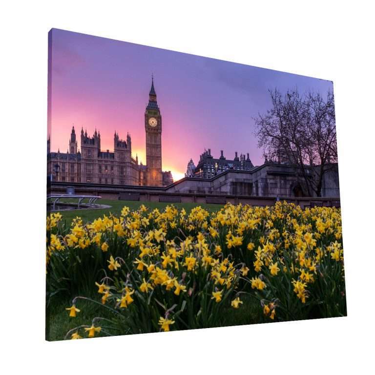 Flores del Big Ben