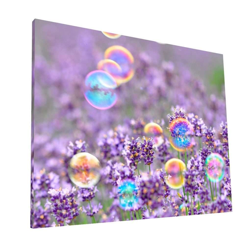 Flowers & Bubbles