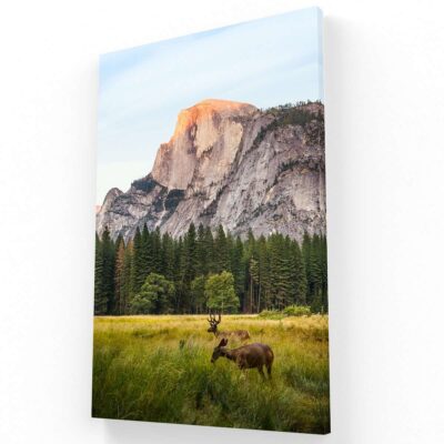 Paisaje con venados