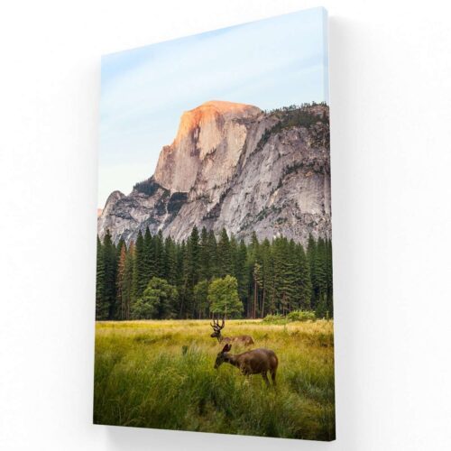 Paisaje con venados