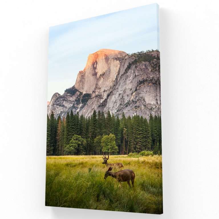 Paisaje con venados