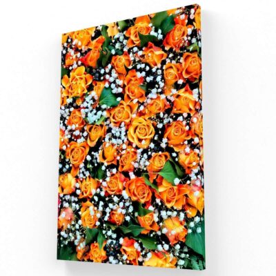 Orange Roses