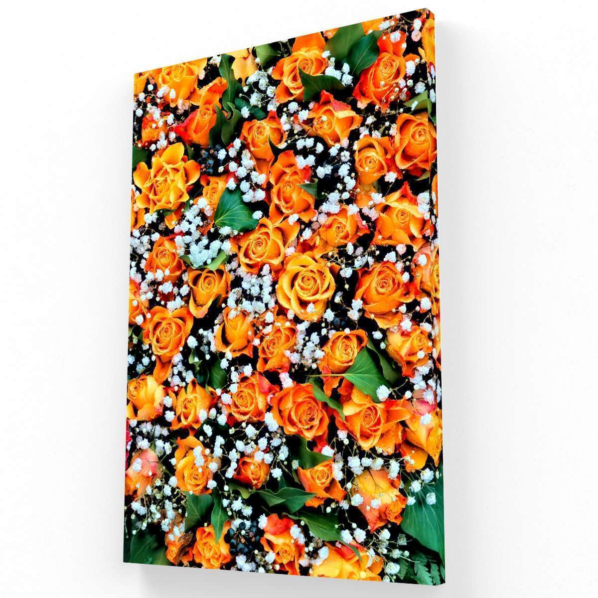 Orange Roses