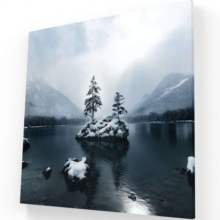 Paisaje Nevado