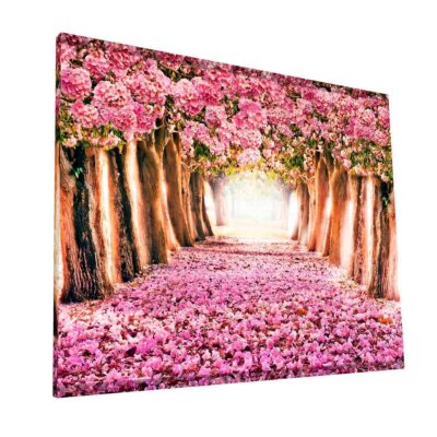 Pink Flowers