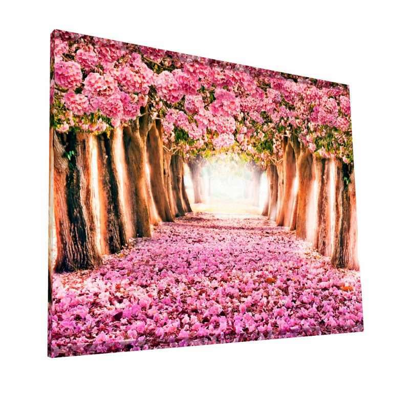 Pink Flowers