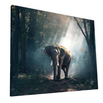 Elefante Mágico