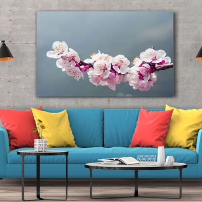 Canvas personalizados monterrey