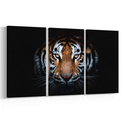 Tigre Set