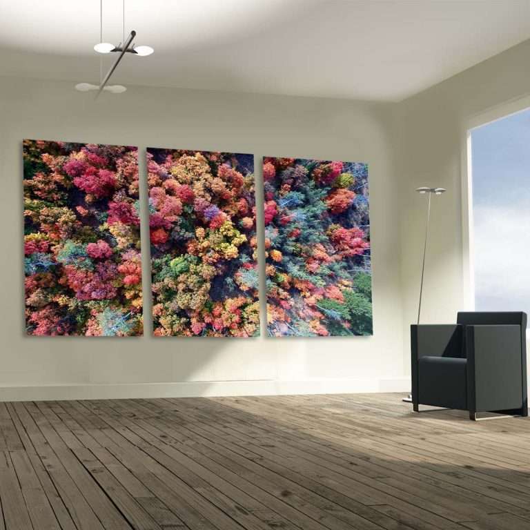 cuadros decorativos para salas