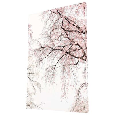 Árbol Sakura
