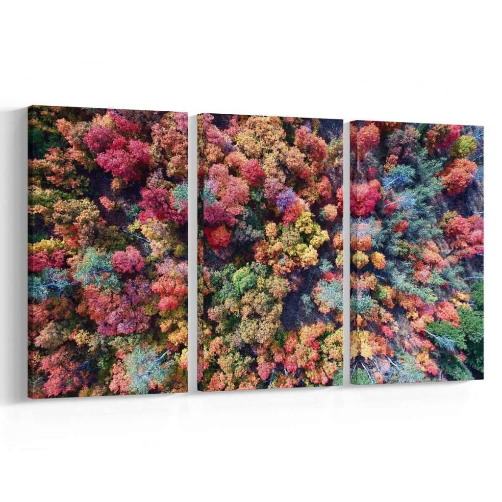 Árboles de colores