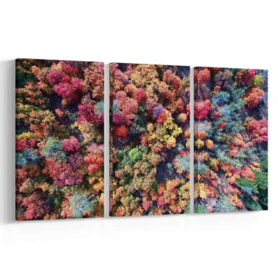 Árboles de colores