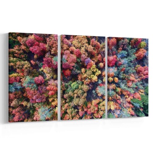 Árboles de colores