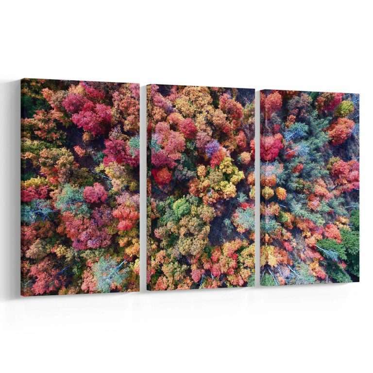 Árboles de colores