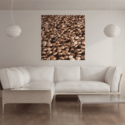 cuadros decorativos para salas