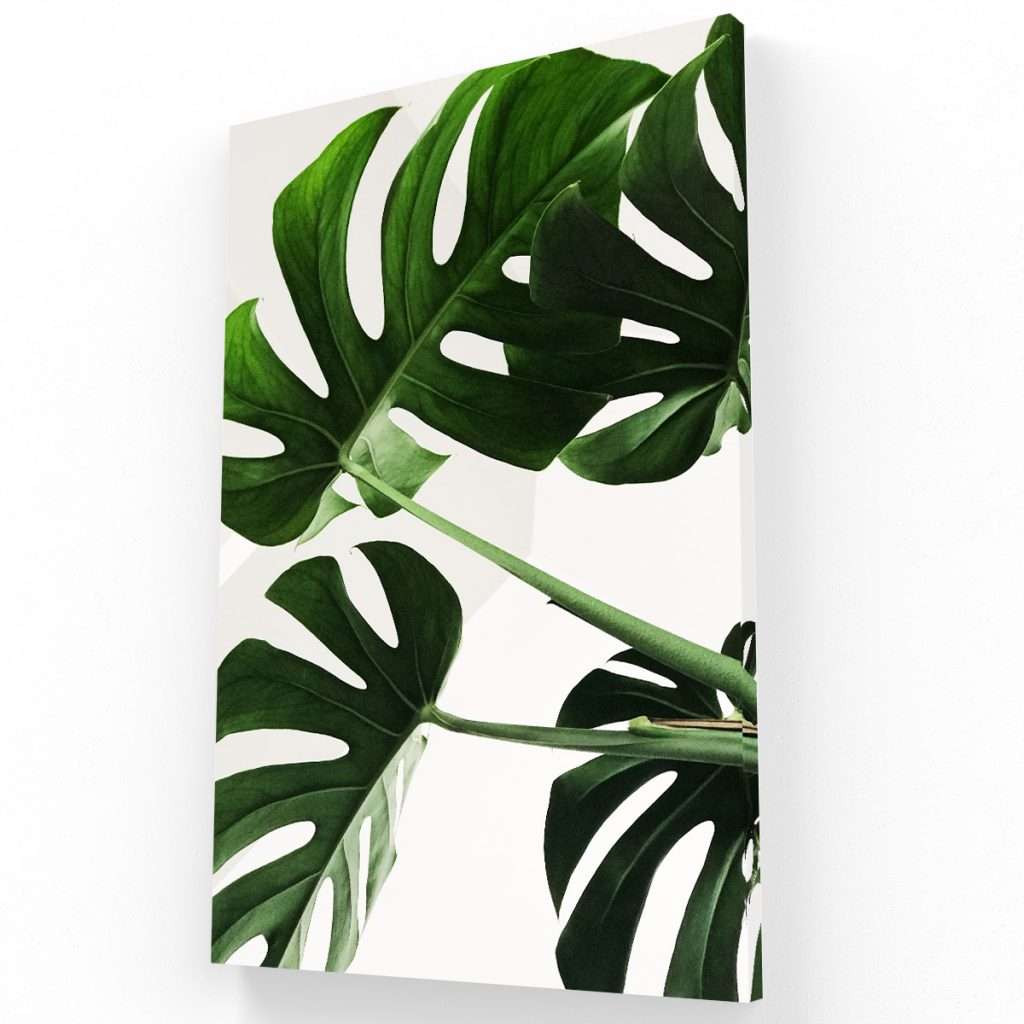 Krea Canvas Cuadros Decorativos