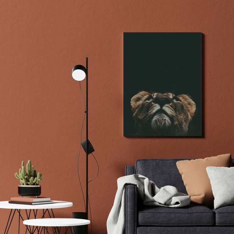Krea Canvas Cuadros Decorativos