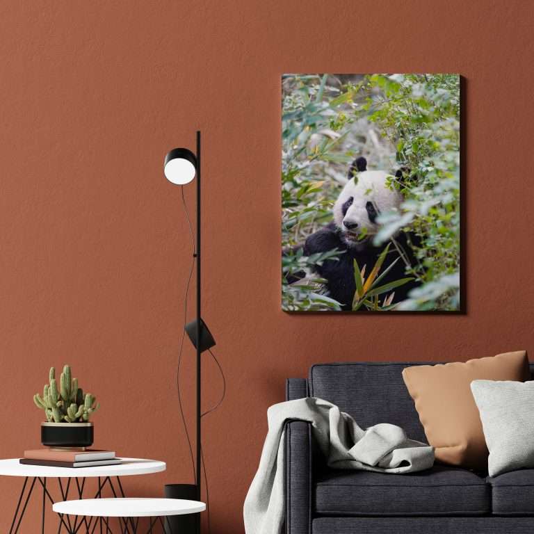 Krea Canvas Cuadros Decorativos