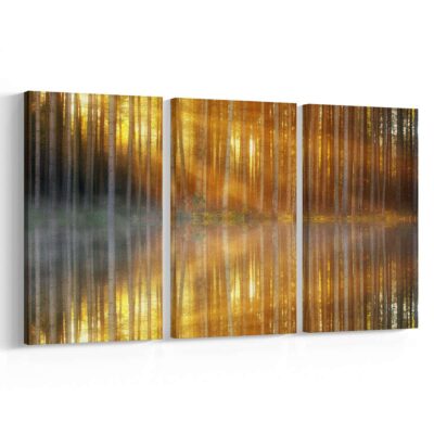 Reflejos del Bosque