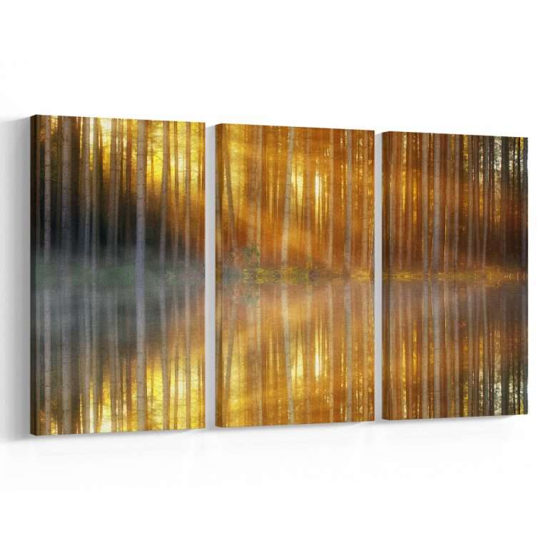 Reflejos del Bosque