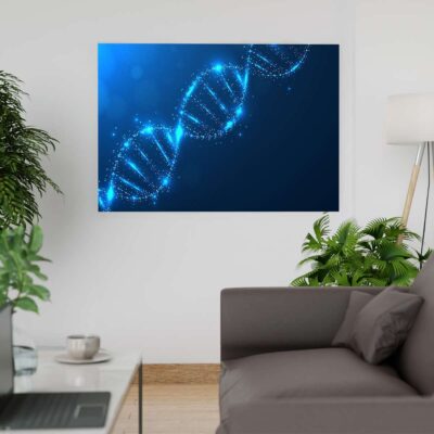 Krea Canvas Cuadros Decorativos