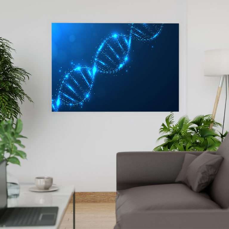 Krea Canvas Cuadros Decorativos