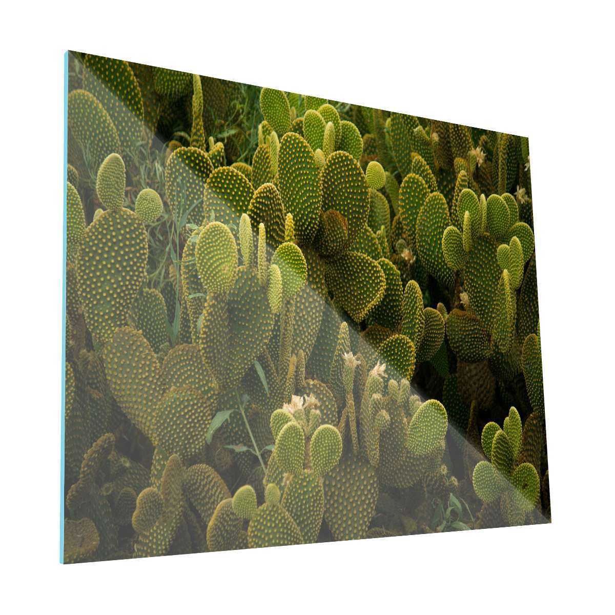 Krea Canvas Cuadros Decorativos