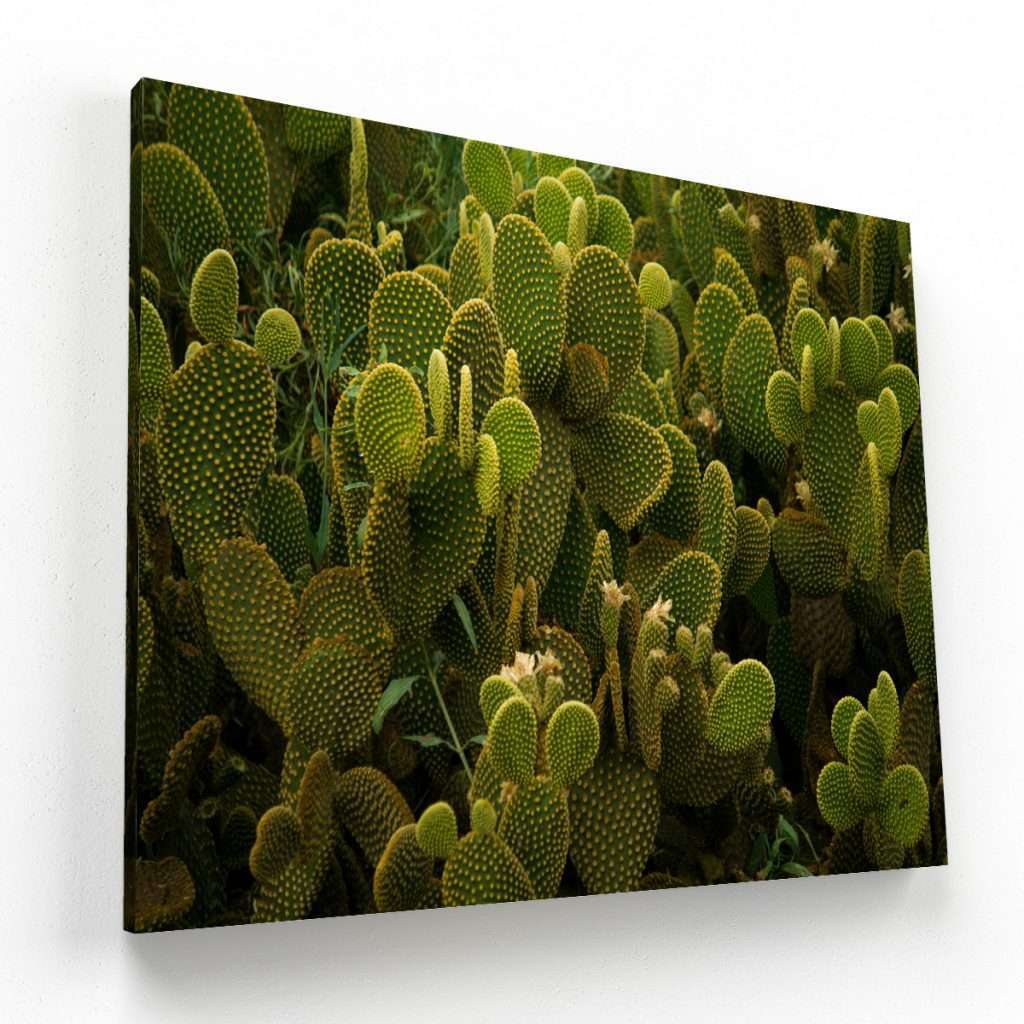 Puro Verde