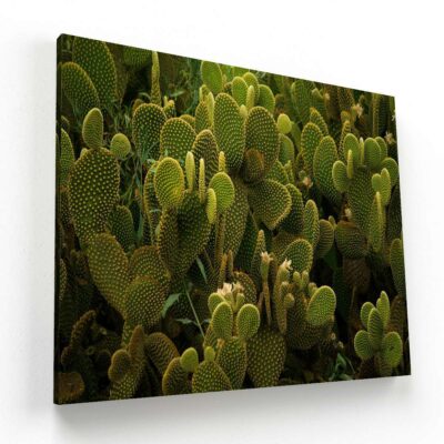 Puro Verde