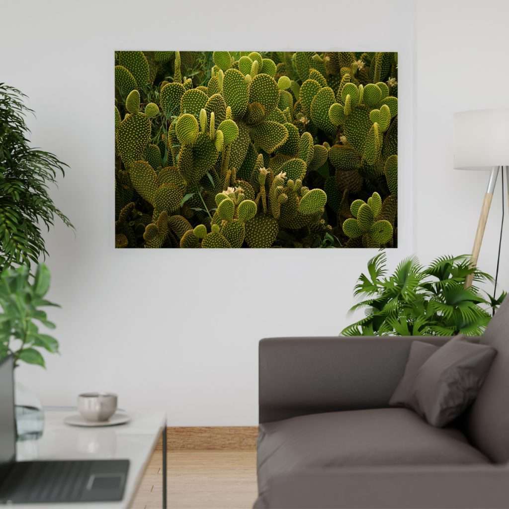 Krea Canvas Cuadros Decorativos