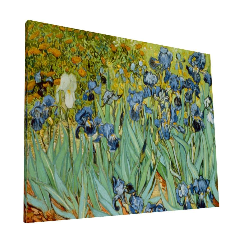 Krea Canvas | Cuadros Canvas y Acrílico cuadros decorativos