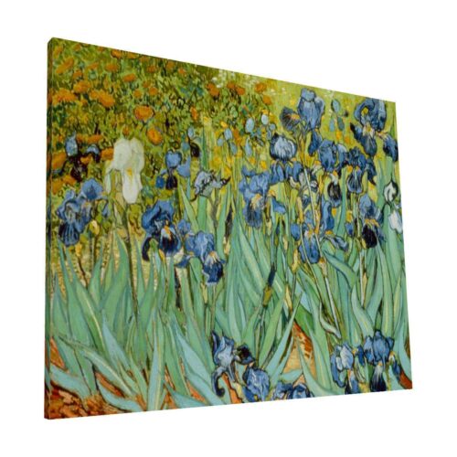 Lirios Vincent Van Gogh