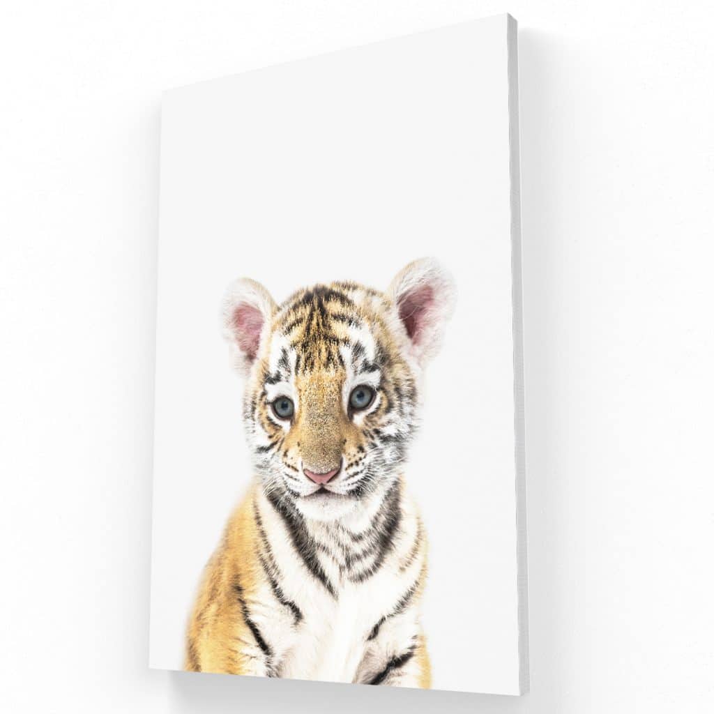 Tigre Kids